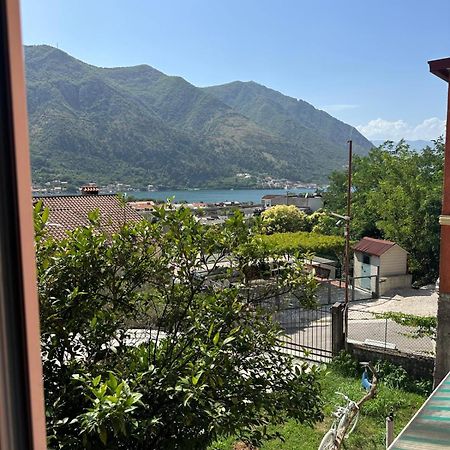 Themis Apart Hotel Kotor Bagian luar foto