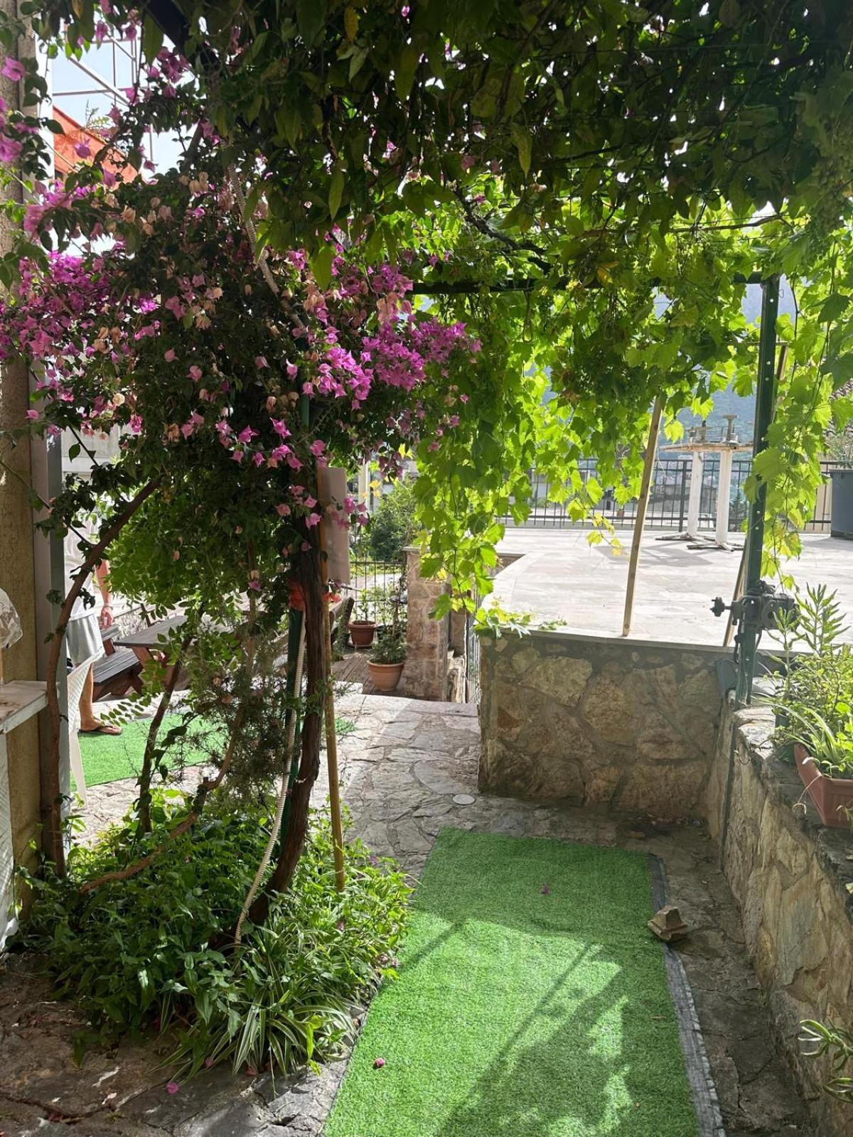 Themis Apart Hotel Kotor Bagian luar foto