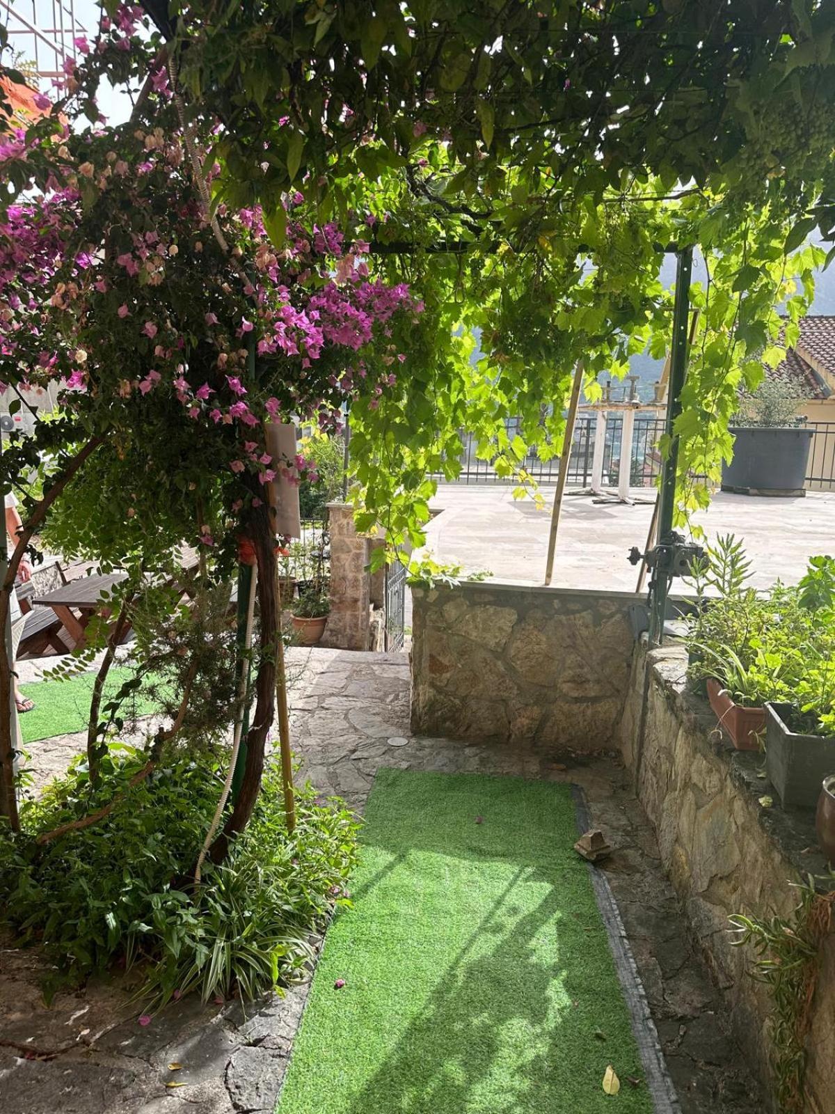 Themis Apart Hotel Kotor Bagian luar foto
