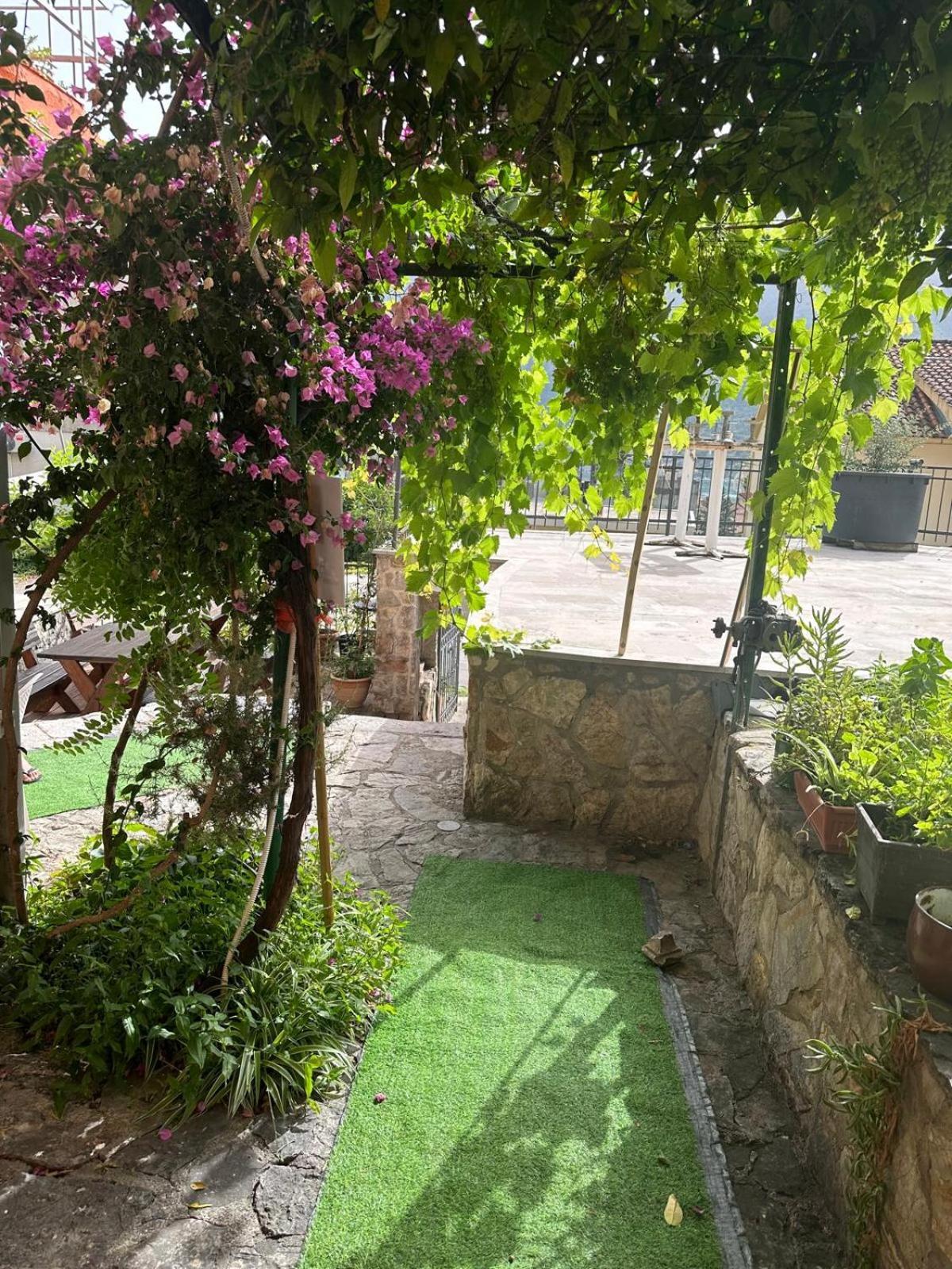 Themis Apart Hotel Kotor Bagian luar foto