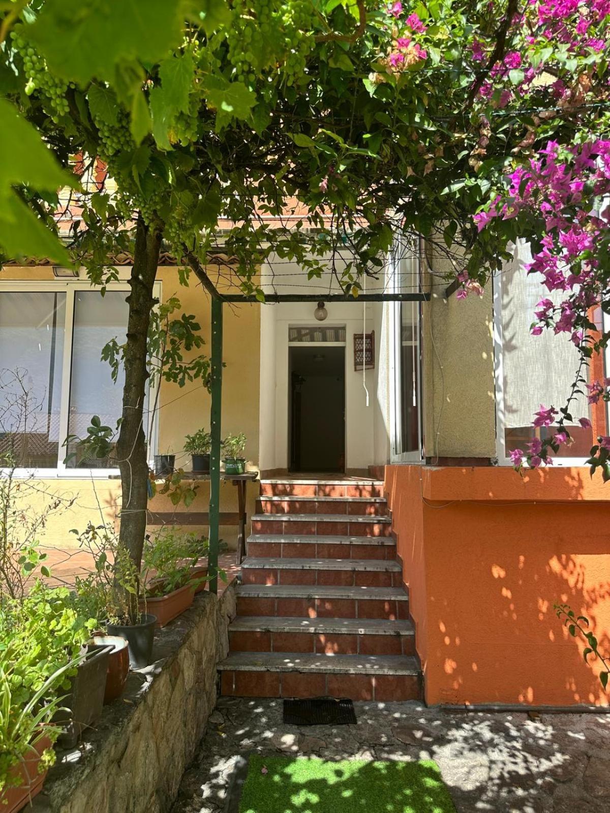 Themis Apart Hotel Kotor Bagian luar foto