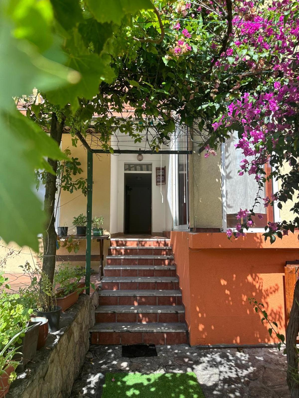 Themis Apart Hotel Kotor Bagian luar foto